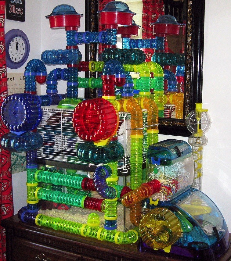 large hamster cages